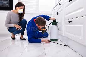 Best Emergency Pest Control  in Bay City, OR